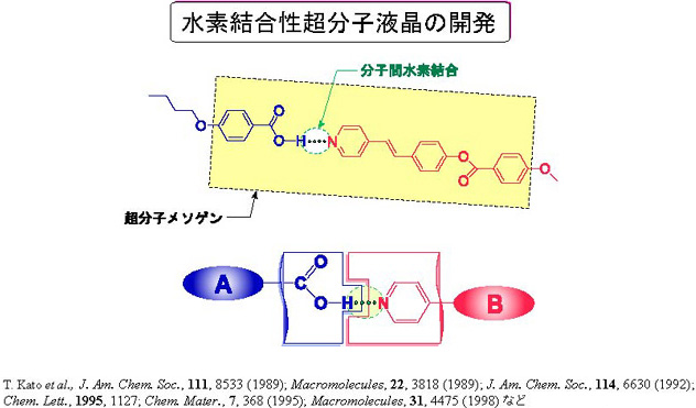 水素結合性超分子液晶の開発