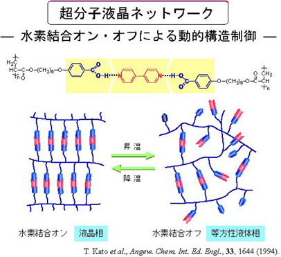 超分子液晶ネットワーク-水素結合オン・オフによる動的構造制御-